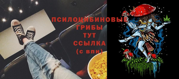 таблы Алексин