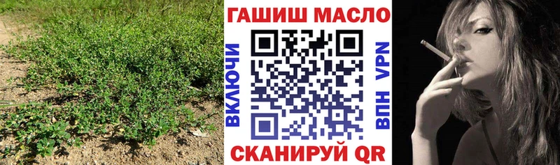 ТГК жижа МЕГА онион Андреаполь хочу