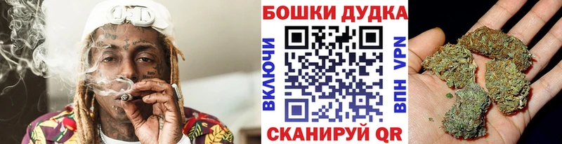 Бошки Шишки планчик  Андреаполь 